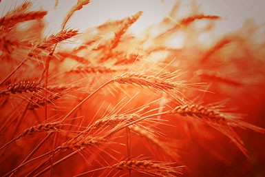 Coaching en développement personnel - Christiane Grimaud, Coach en développement personnel et RH