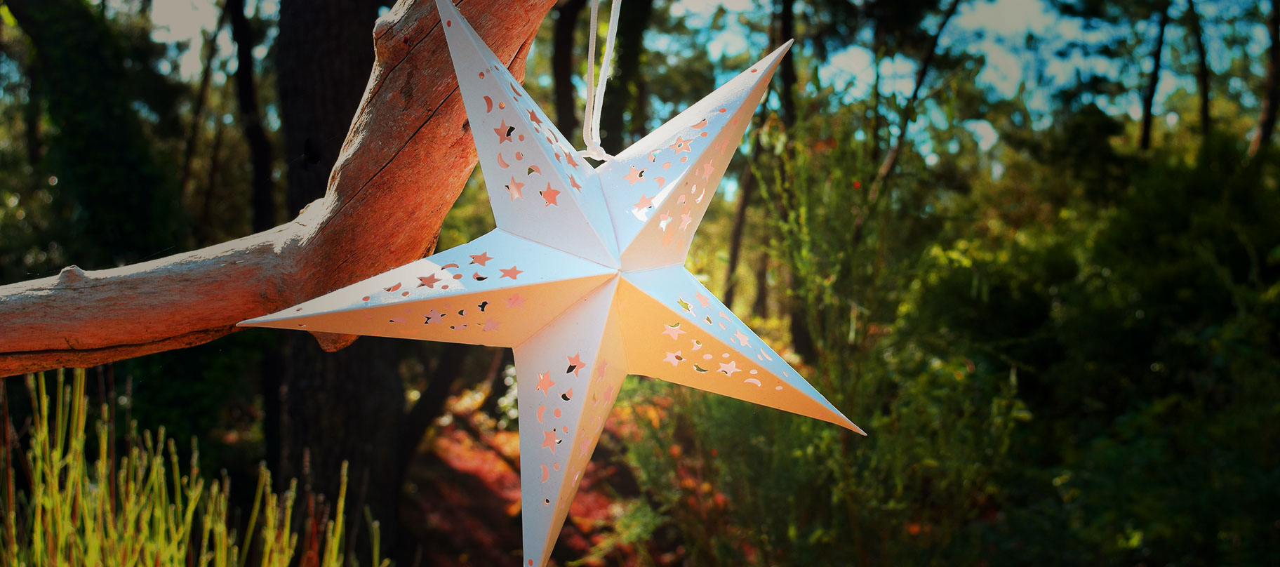 Christiane Grimaud MU